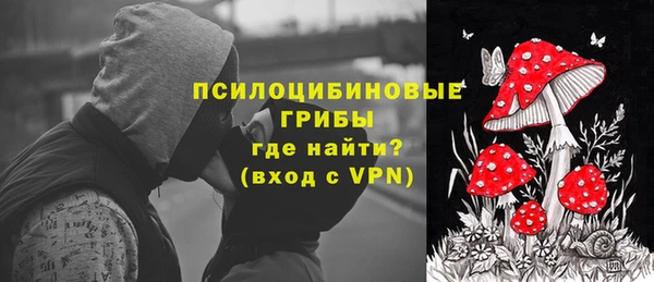 тгк Абаза