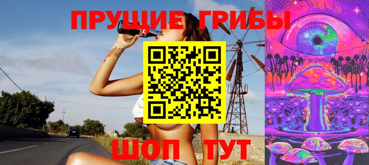 дарнет шоп  Псилоцибиновые грибы GOLDEN TEACHER  Вход с VPN  Октябрьский 